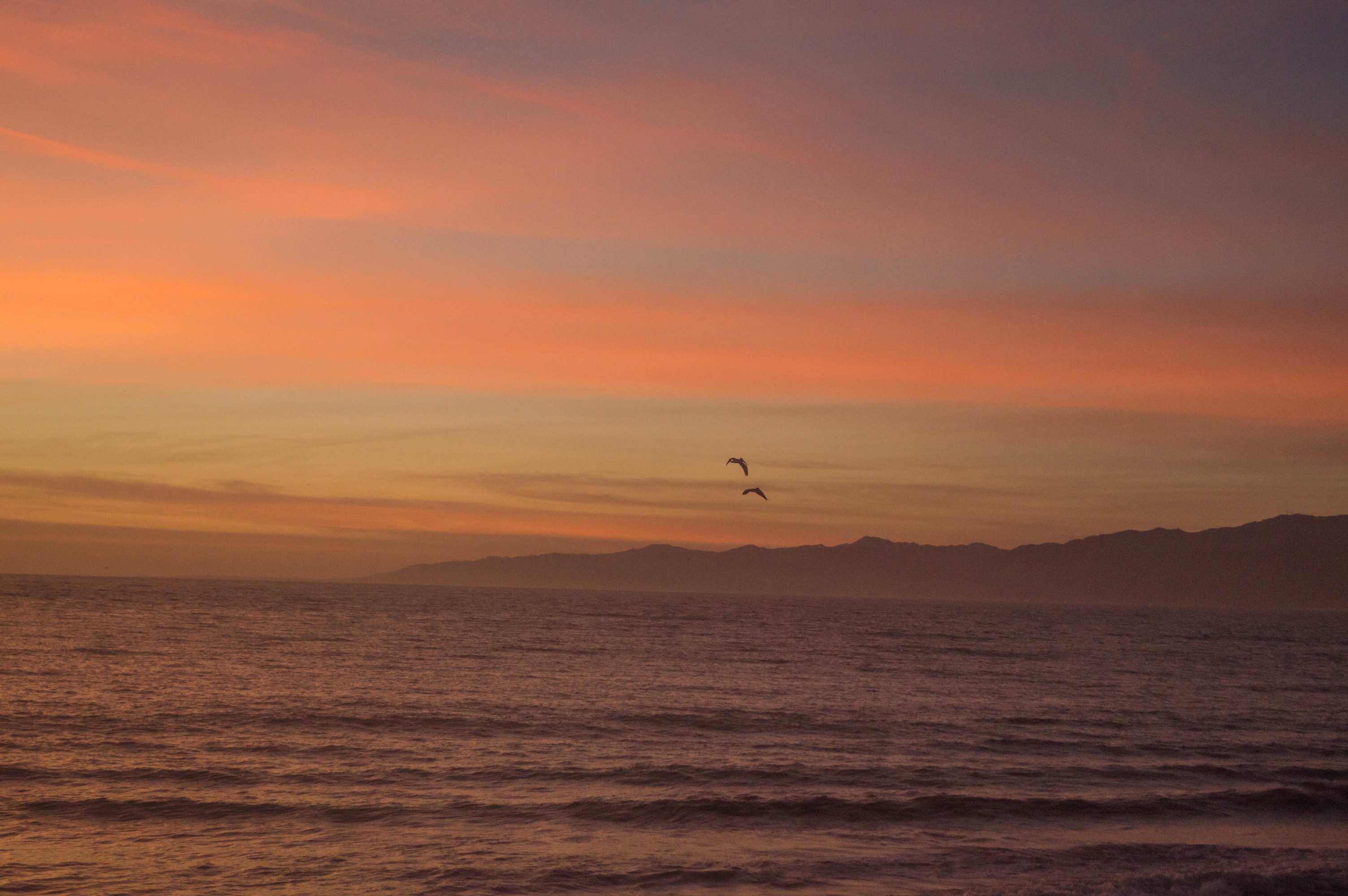 View from Marina del Rey Jetty at Sunset